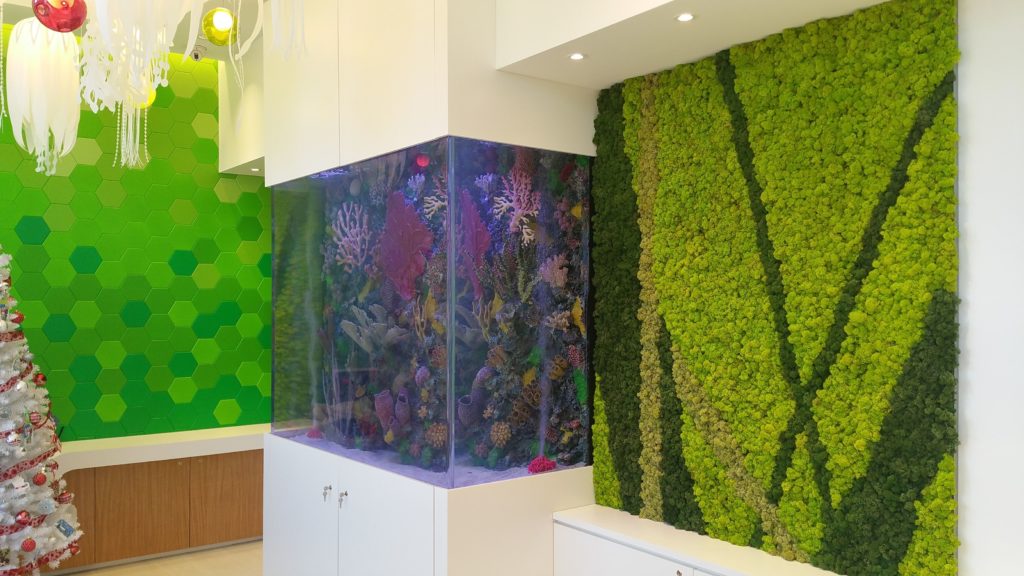 Product: Acoustic Moss Wall.
Moss: Reindeer Moss.