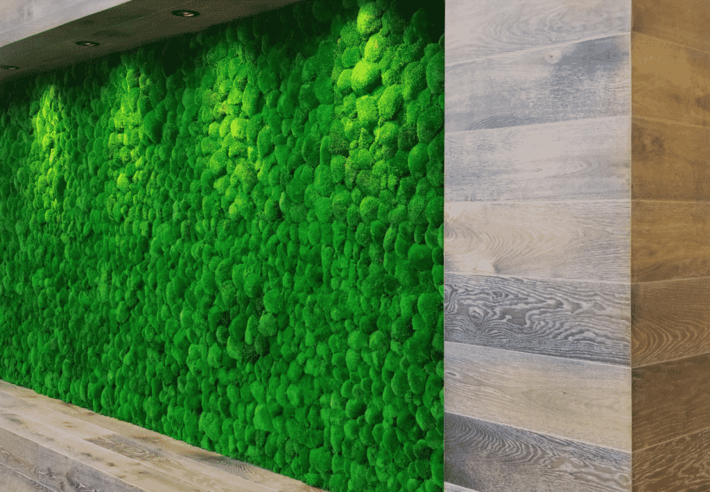Product: Acoustic Moss Wall. 
Moss: Pole Moss.  