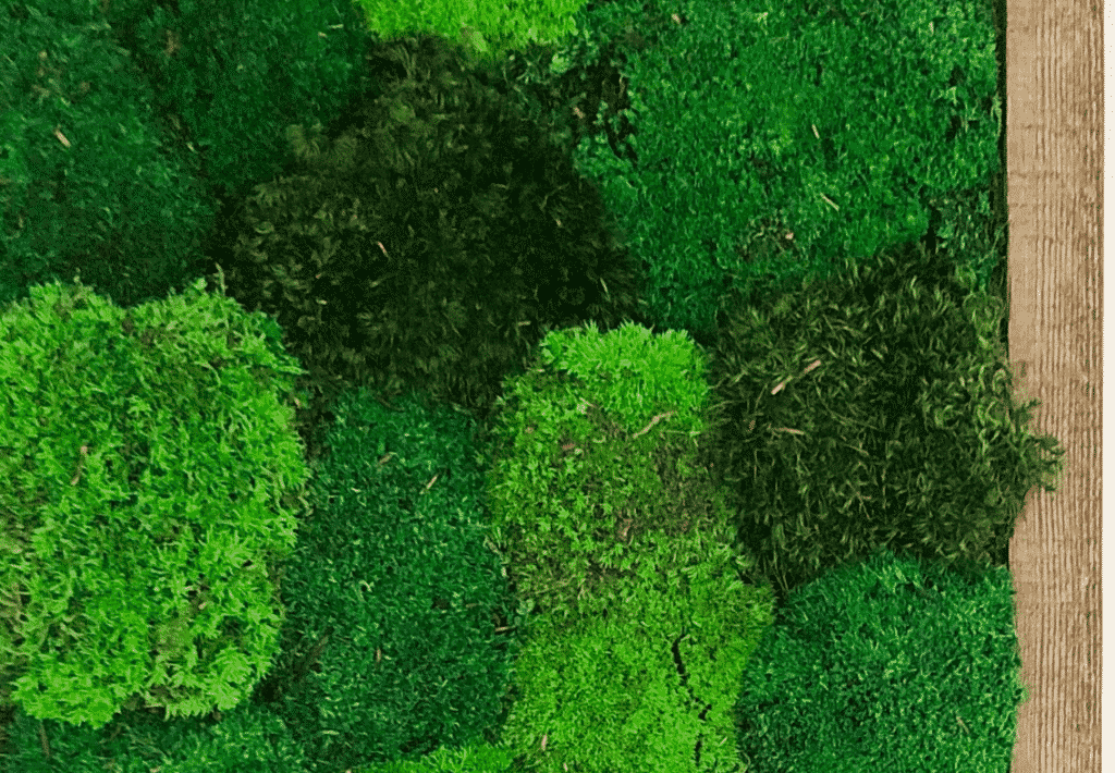 Green Moss Pole – Verdant Lyfe