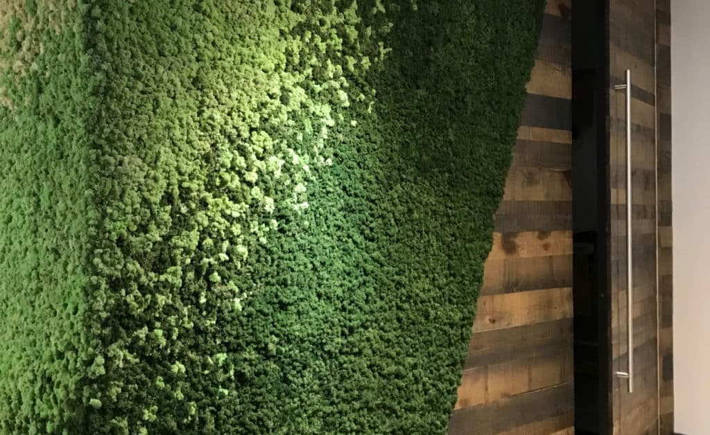 Product: Acoustic Moss Wall.
Moss: Reindeer Moss.