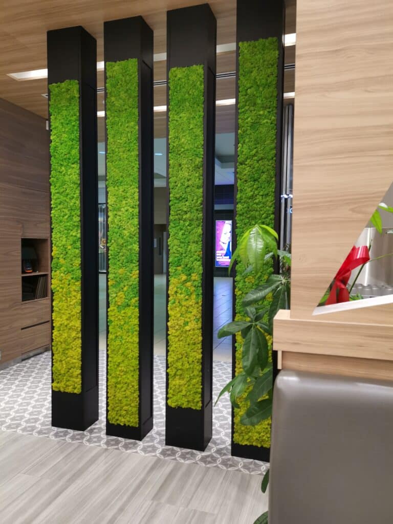 Product: Acoustic Moss Wall. 
Moss: Reindeer Moss.