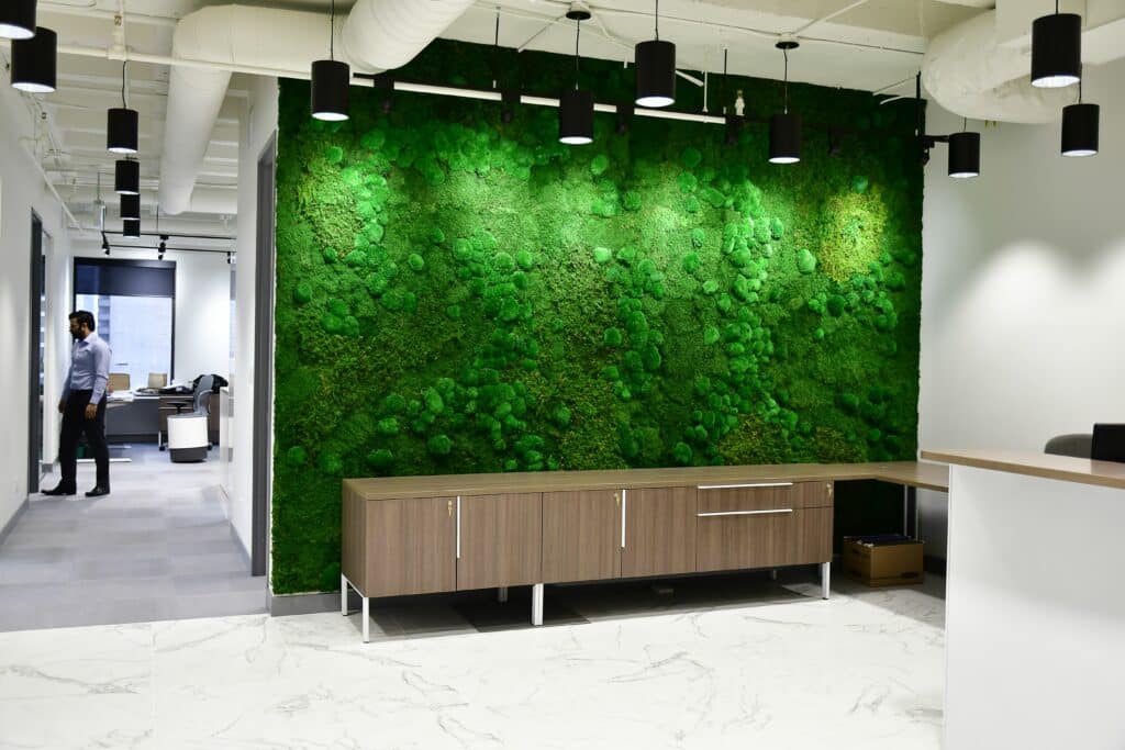 Product: Acoustic Moss Wall. 
Moss: Mixed Moss.