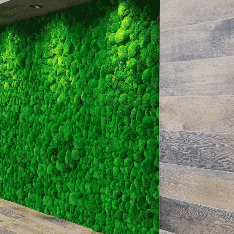 Product: Acoustic Moss Wall. 
Moss: Pole Moss.  